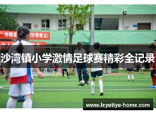 沙湾镇小学激情足球赛精彩全记录